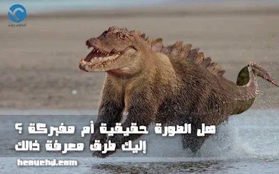 هل الصورة حقيقية أم مفبركة ؟ إليك طرق معرفة ذالك