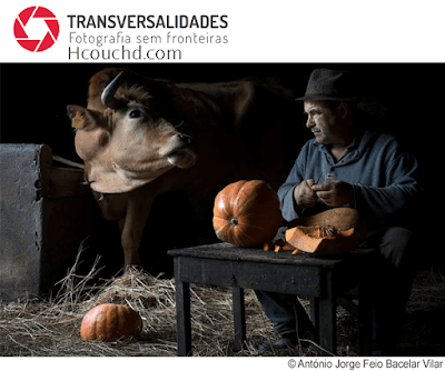 1002 transversalities photography competition thb