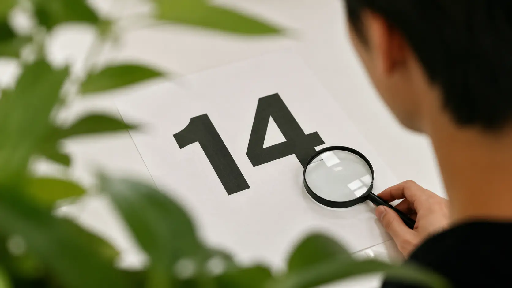 Impact of the two-week period on SEO strategy and task execution