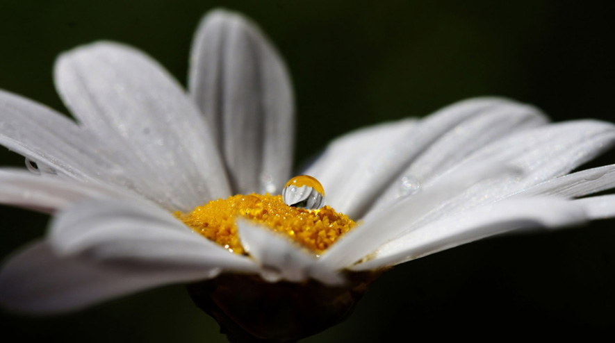 - الاقتراب من الهدف 